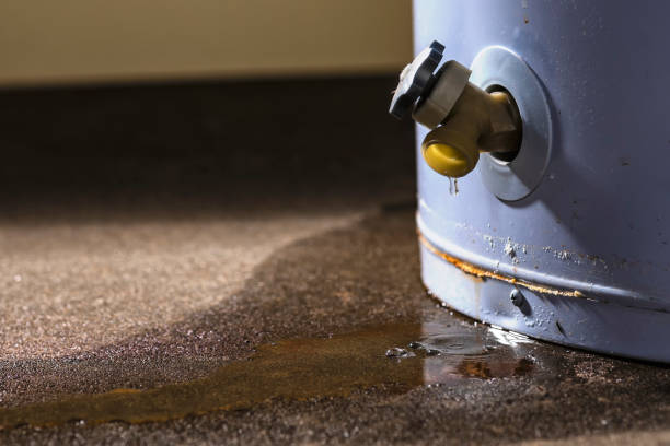 Best Residential water damage restoration  in , IN