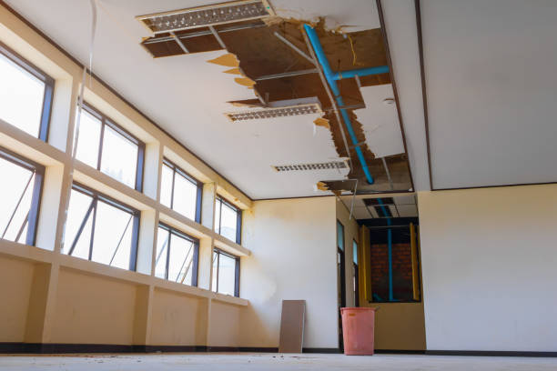 Best Water damage restoration experts  in , IN