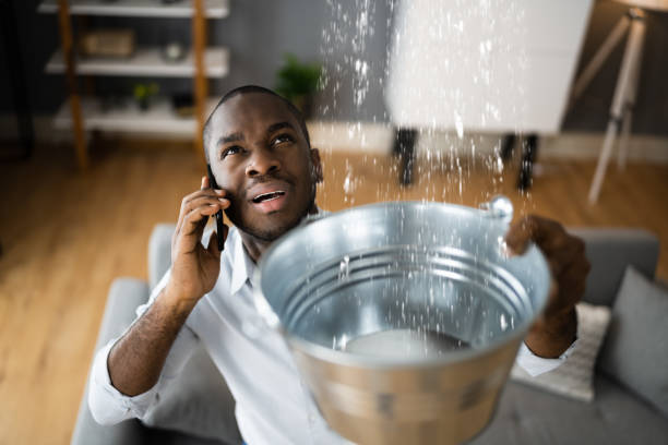 Best Commercial water damage restoration  in , IN