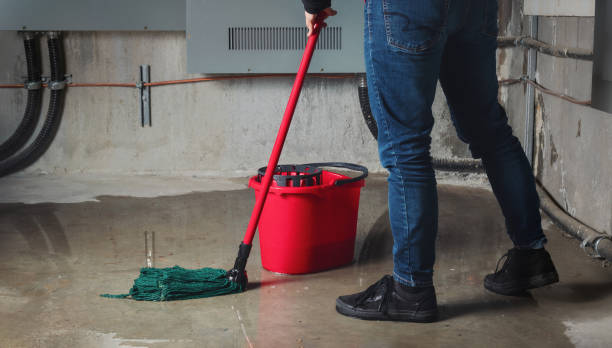 Best Fire Damage Restoration  in , IN