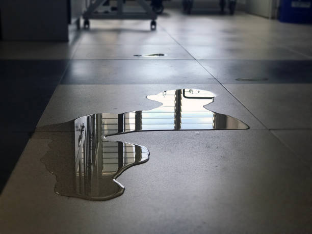 Best Emergency water damage restoration  in , IN