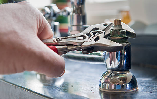 Best Carpet water damage restoration  in , IN