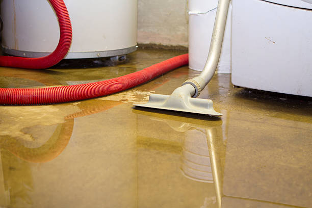 Best Flood damage cleanup  in , IN