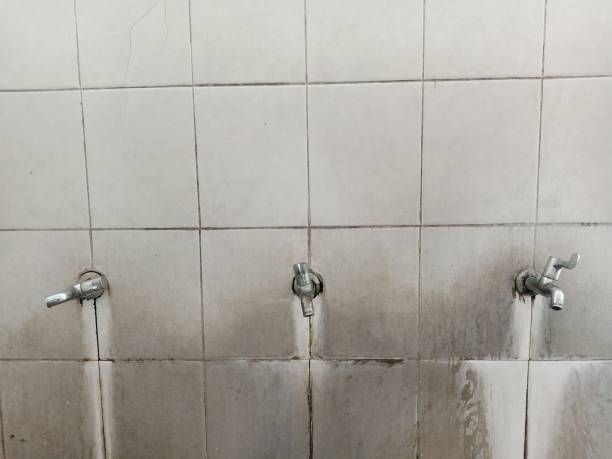 Best Ceiling water damage repair  in , IN