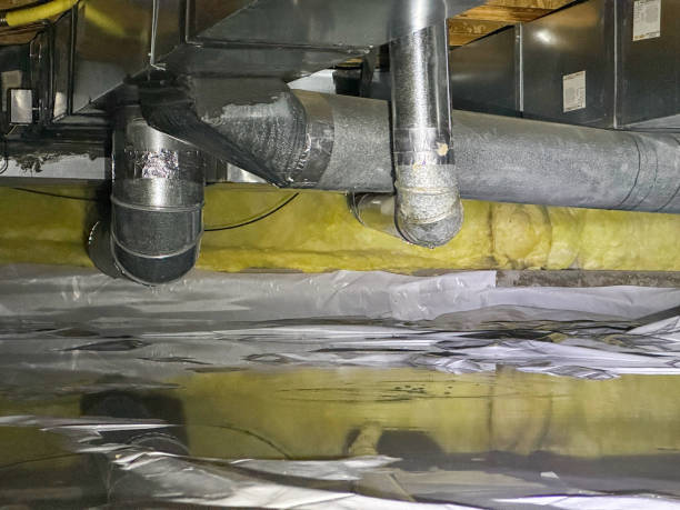 Best Local water damage restoration  in , IN