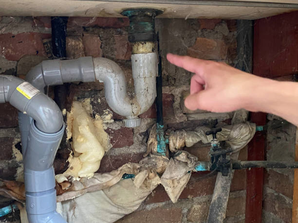 Best Basement water damage restoration  in , IN