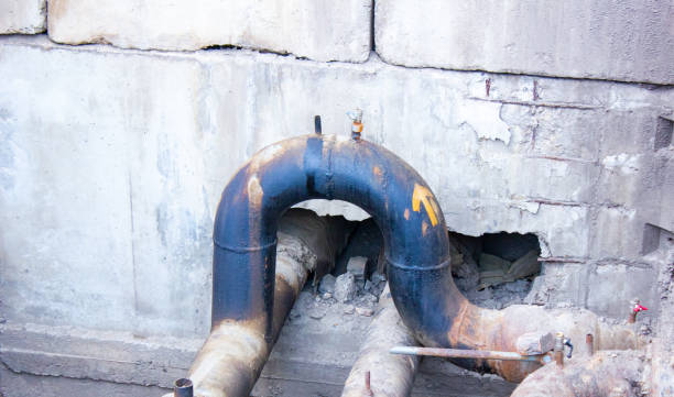 Best Professional water damage repair  in , IN