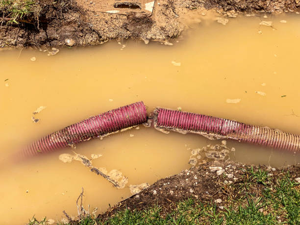Best 24/7 water damage repair  in , IN