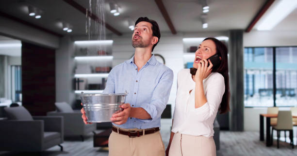 Best Flooded house restoration  in , IN