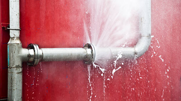 Best Water damage cleanup near me  in , IN