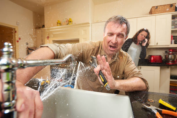 Best Mold removal after water damage  in , IN